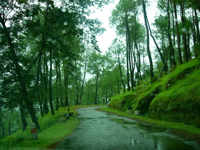 ranikhet